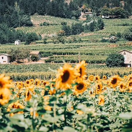 Valterra Lodges A Chatillon-En-Diois Hotel *